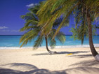 Summer wallpapers45